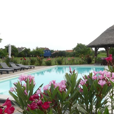 Tisza White House Bed & Breakfast Tiszaszolos Dış mekan fotoğraf