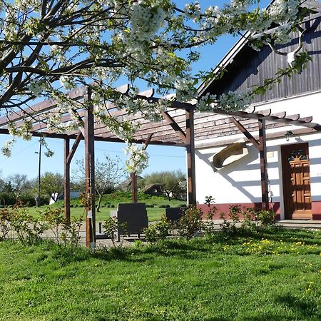 Tisza White House Bed & Breakfast Tiszaszolos Dış mekan fotoğraf