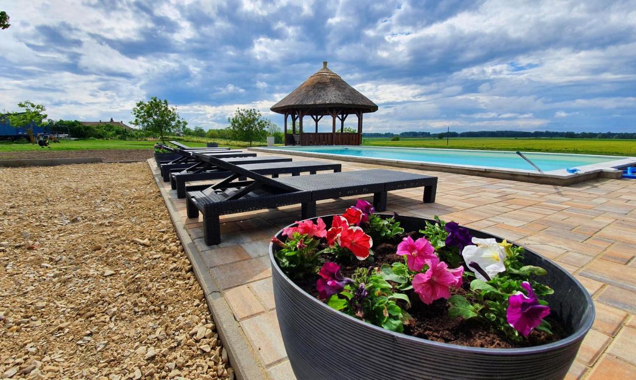 Tisza White House Bed & Breakfast Tiszaszolos Dış mekan fotoğraf