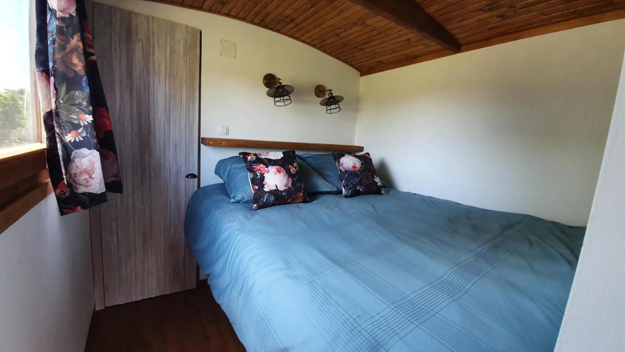 Tisza White House Bed & Breakfast Tiszaszolos Dış mekan fotoğraf