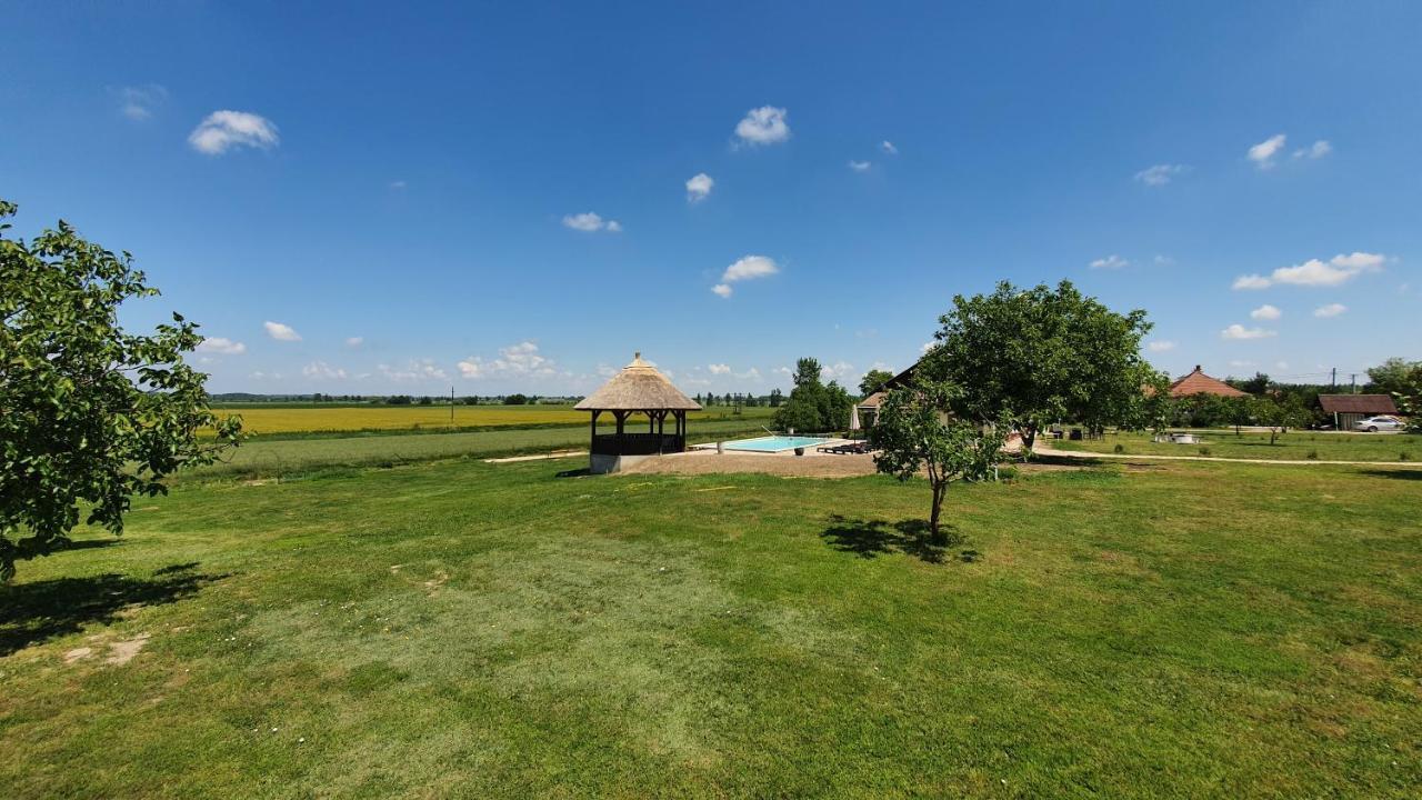 Tisza White House Bed & Breakfast Tiszaszolos Dış mekan fotoğraf
