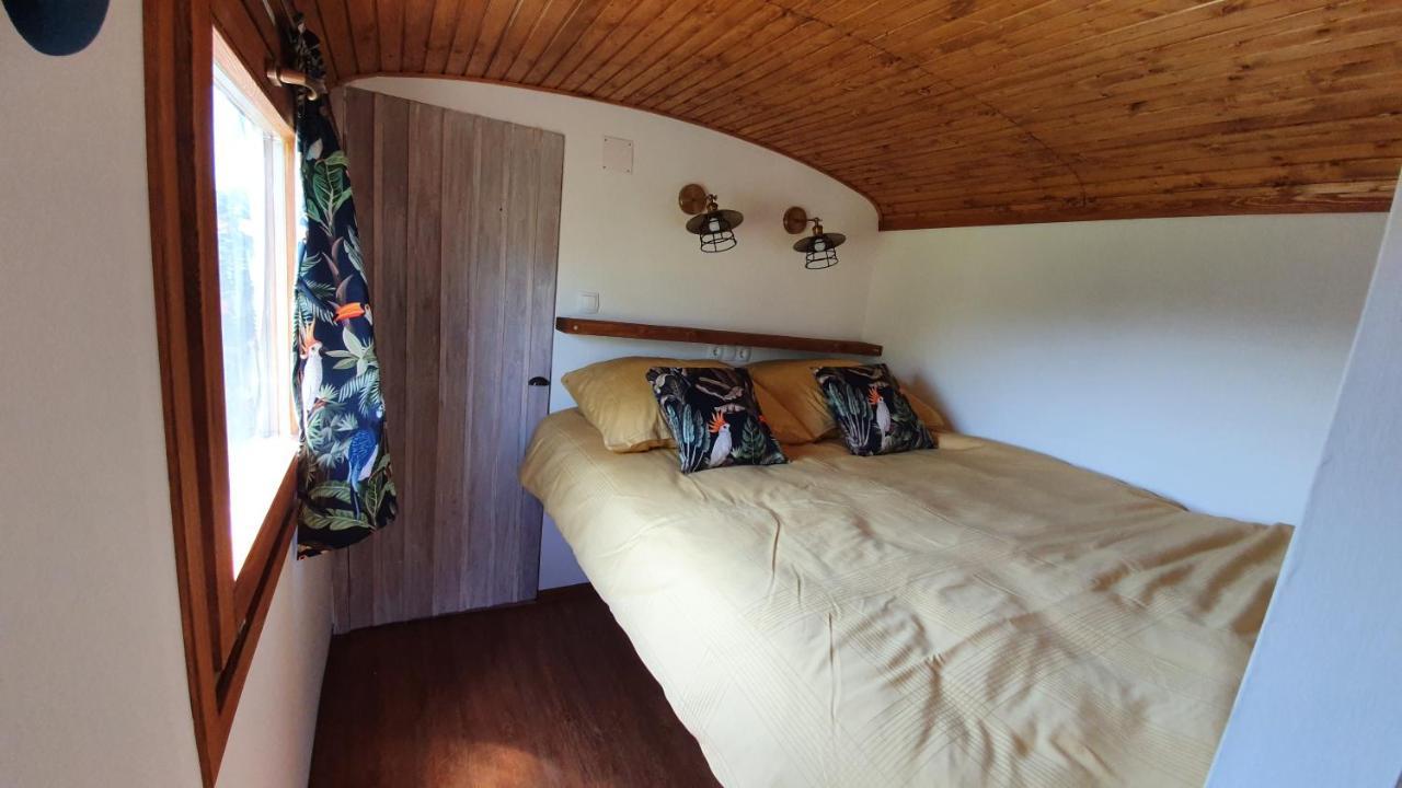 Tisza White House Bed & Breakfast Tiszaszolos Dış mekan fotoğraf