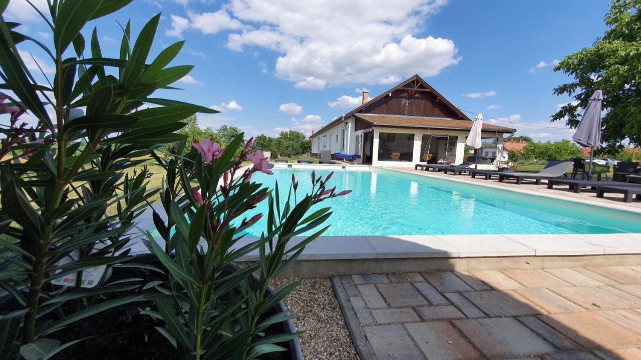 Tisza White House Bed & Breakfast Tiszaszolos Dış mekan fotoğraf