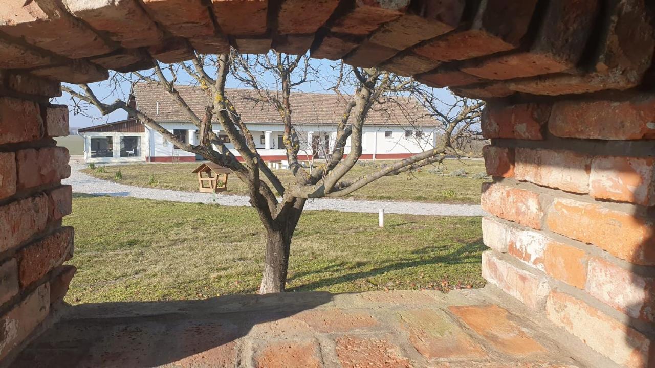 Tisza White House Bed & Breakfast Tiszaszolos Dış mekan fotoğraf