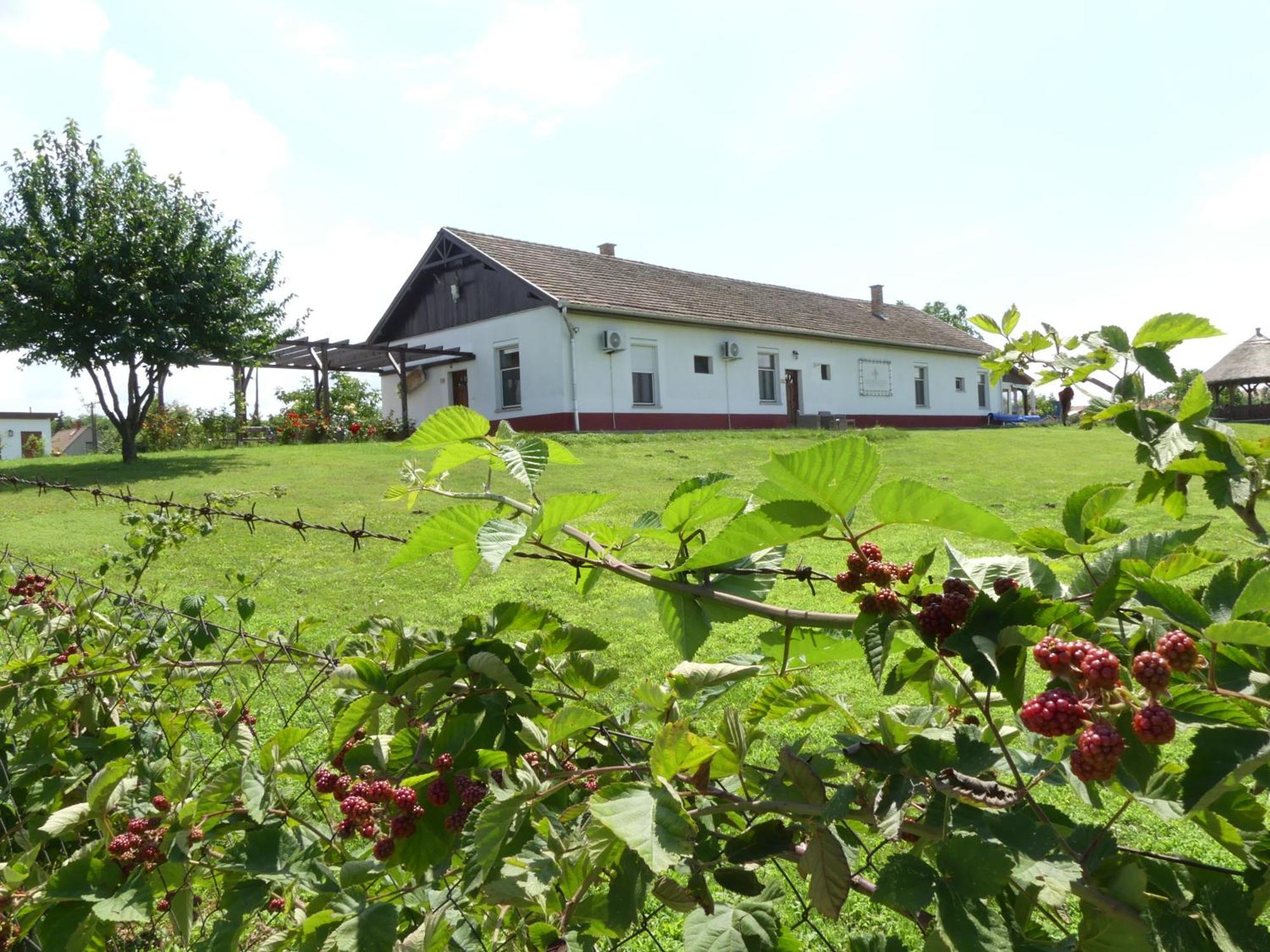 Tisza White House Bed & Breakfast Tiszaszolos Dış mekan fotoğraf